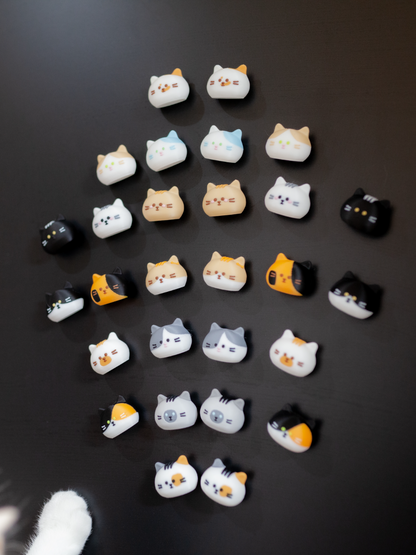 fridge magnets